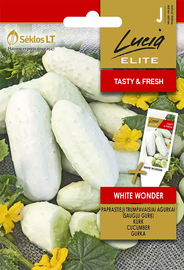 KURKKU ELITE WHITE WONDER - Vihannesten ja yrttien siemenet - 4770168913714 - 0