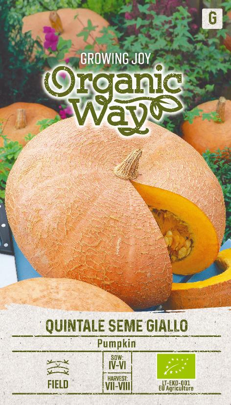 KURPITSA OG QUINTALE SEME GIALLO - Vihannesten ja yrttien siemenet - 4770168913554 - 0