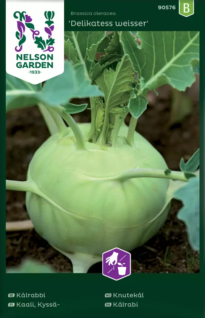Kaali, Kyssä-, Delikatess Weisser - Vihannesten ja yrttien siemenet - 7312600905764 - 0