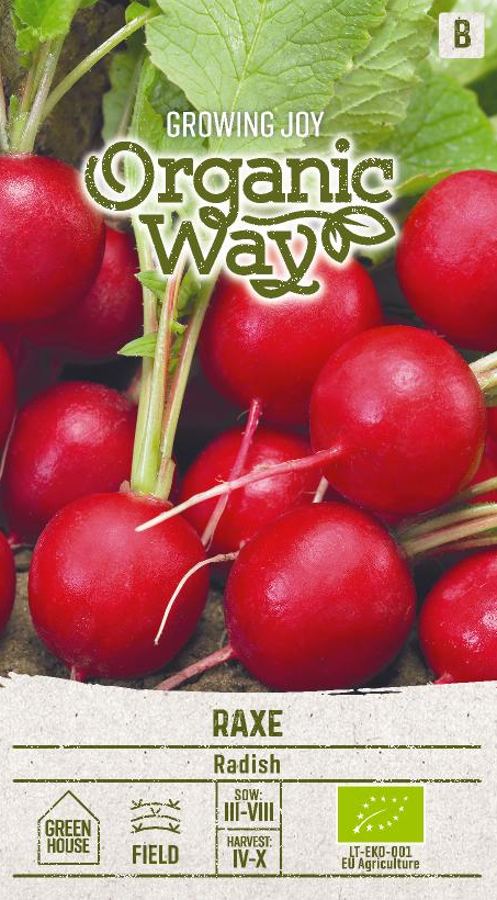 RETIISI OG RAXE - Vihannesten ja yrttien siemenet - 4770168151604 - 0