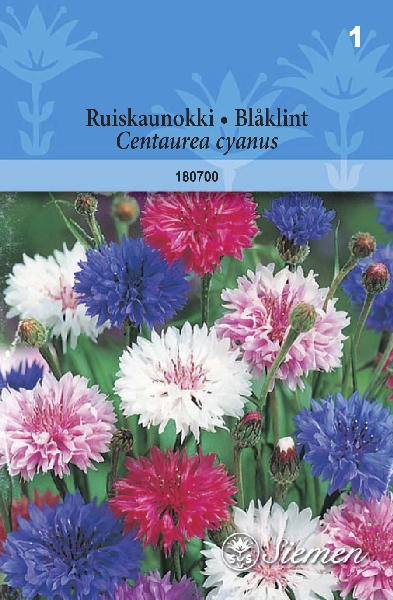 Ruiskaunokki sekoite - Kukkien ja koristeheinien siemenet - 6415151807004 - 1