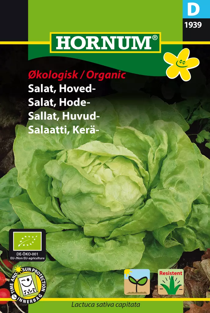 Salaatti, Kerä- Attraktion - Vihannesten ja yrttien siemenet - 5708787019394 - 0