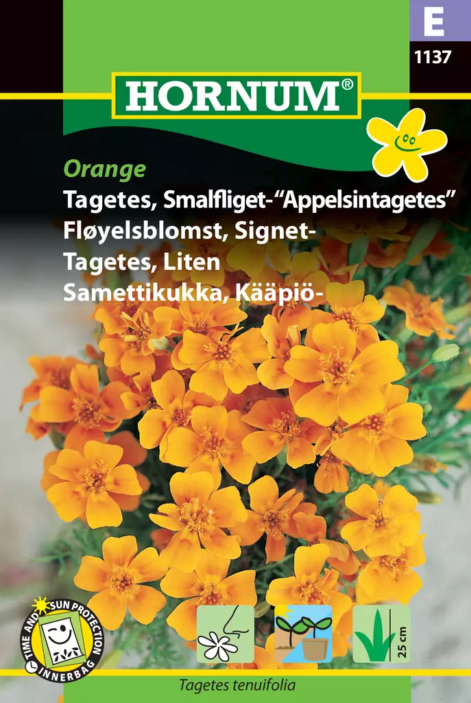 Samettikukka, Kääpiö- Orange - Vihannesten ja yrttien siemenet - 5708787011374 - 0