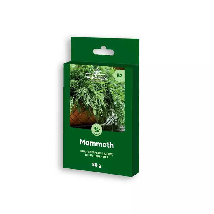 TILLI Mammoth - Kukkien ja koristeheinien siemenet - 4770168920934 - 0