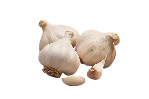 Talvivalkosipuli Messidrome 250 g 50/60 - Ruokasipulit - 871196848544 - 1