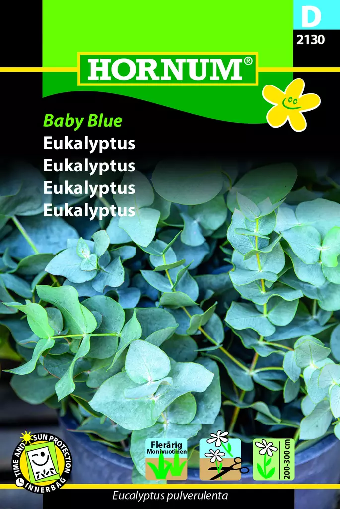 Eukalyptus Baby Blue - Kukkien ja koristeheinien siemenet - 5708787021304 - 3