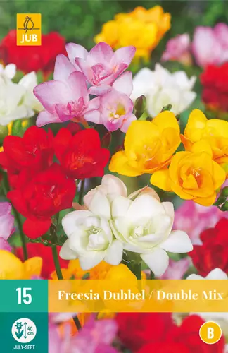 Freesia Double Mix 15 kpl/pkt - Muut kukkasipulit - 8712438624704 - 0