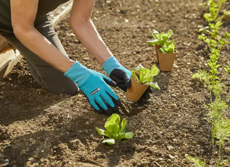 Gardena Istutuskäsineet koko L - Puutarhahanskat - 4078500051774 - 1