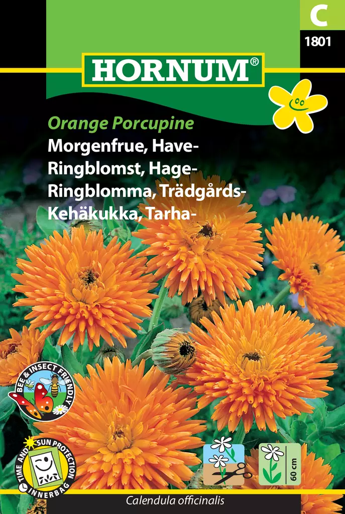 Kehäkukka, Tarha- Orange Porcupine - Kukkien ja koristeheinien siemenet - 5708787018014 - 0