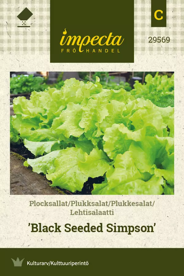 Lehtisalaatti Black Seeded Simpson - Vihannesten ja yrttien siemenet - 7332756295694 - 0