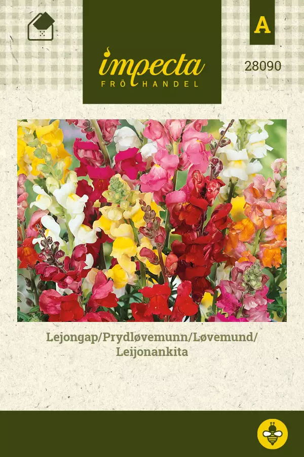 Leijonankita - Kukkien ja koristeheinien siemenet - 7332756280904 - 0