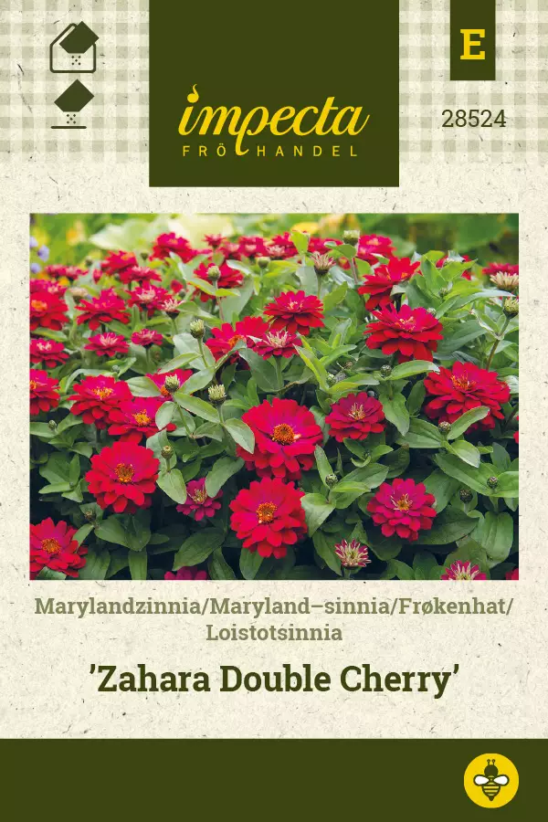 Loistotsinnia Zahara Double Cherry - Kukkien ja koristeheinien siemenet - 7332756285244 - 0