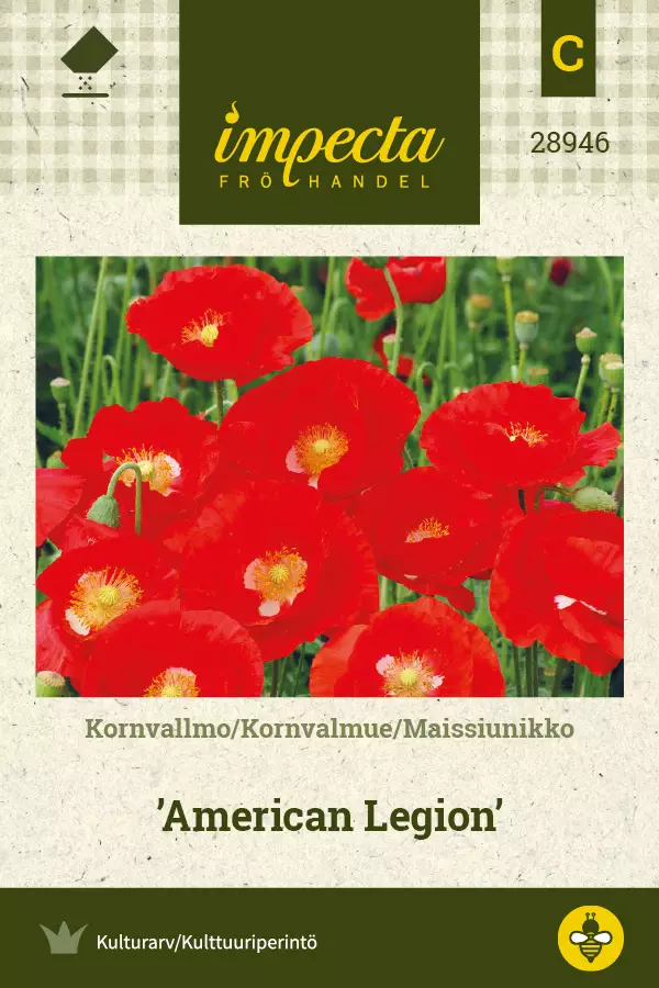 Maissiunikko American Legion - Kukkien ja koristeheinien siemenet - 7332756289464 - 0