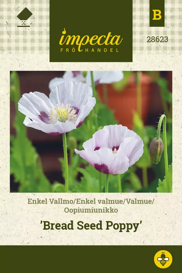 Oopiumiunikko Bread Seed Poppy - Kukkien ja koristeheinien siemenet - 7332756286234 - 0