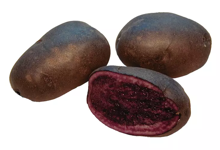 Peruna Blue Congo 1 kg 30-55 mm - Siemenet ja sipulit - 6417486003694 - 2