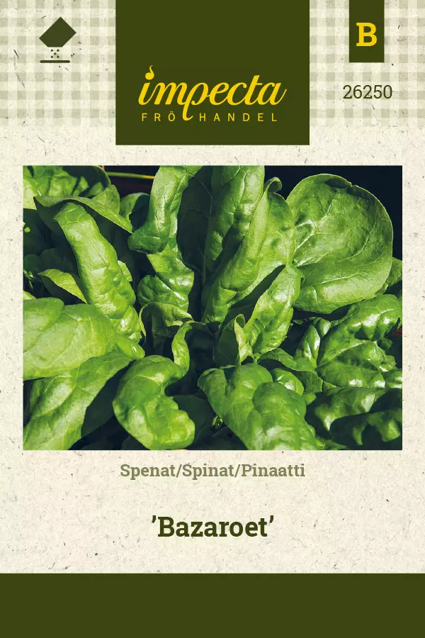 Pinaatti Bazaroet - Vihannesten ja yrttien siemenet - 7332756262504 - 0