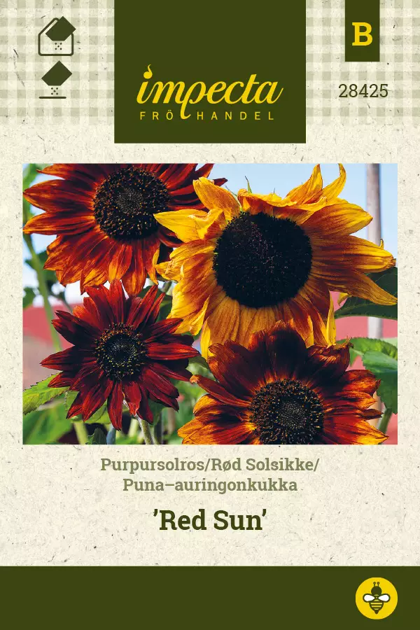 Puna-auringonkukka Red Sun - Kukkien ja koristeheinien siemenet - 7332756284254 - 0