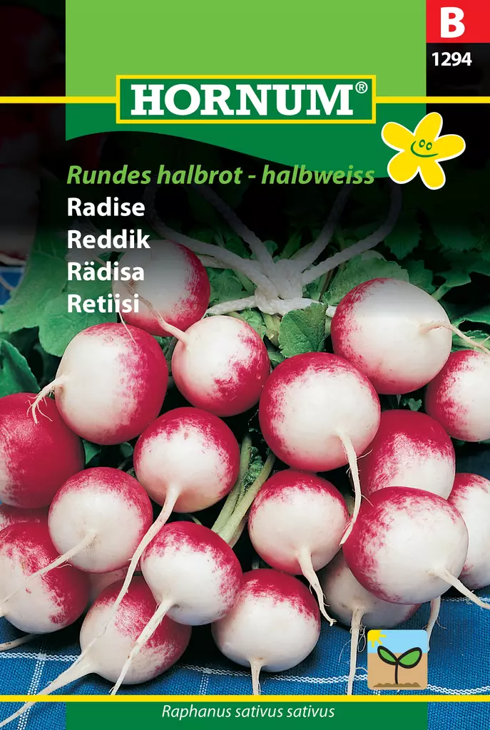 Retiisi Rundes halbrot - halbweiss - Vihannesten ja yrttien siemenet - 5708787012944 - 0