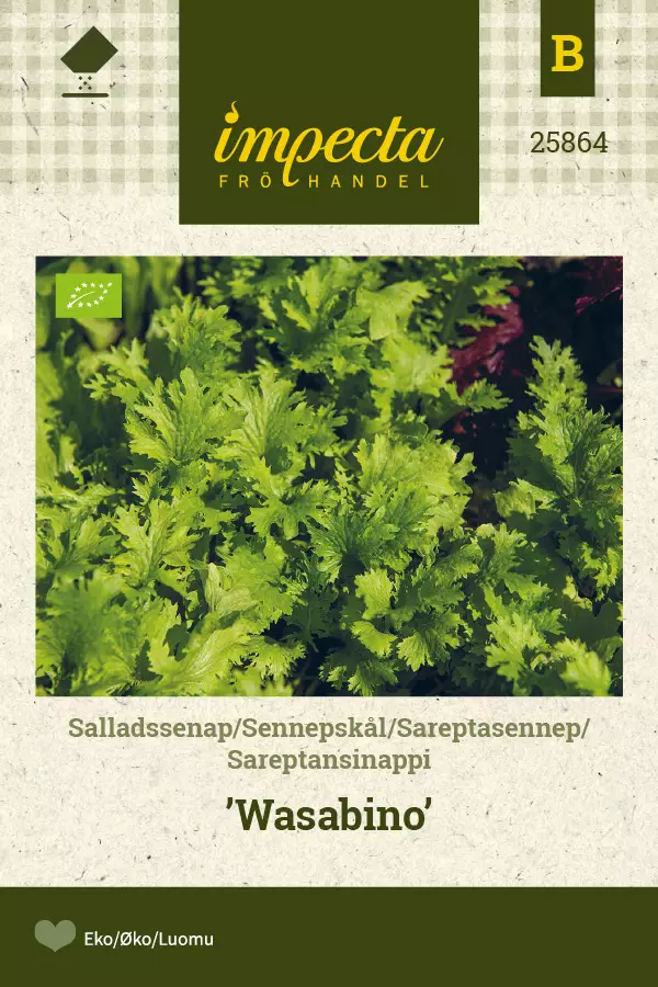 Sareptansinappi Wasabino - Vihannesten ja yrttien siemenet - 7332756258644 - 0