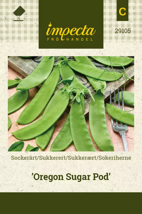 Sokeriherne Oregon Sugar Pod - Vihannesten ja yrttien siemenet - 7332756291054 - 0