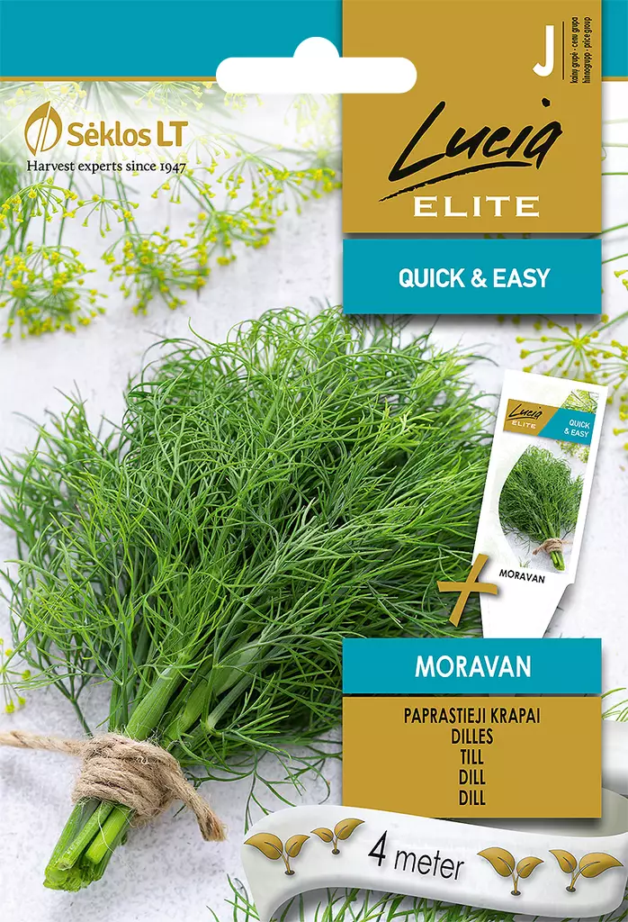 TILLI ELITE MORAVAN - Vihannesten ja yrttien siemenet - 4770168917934 - 0