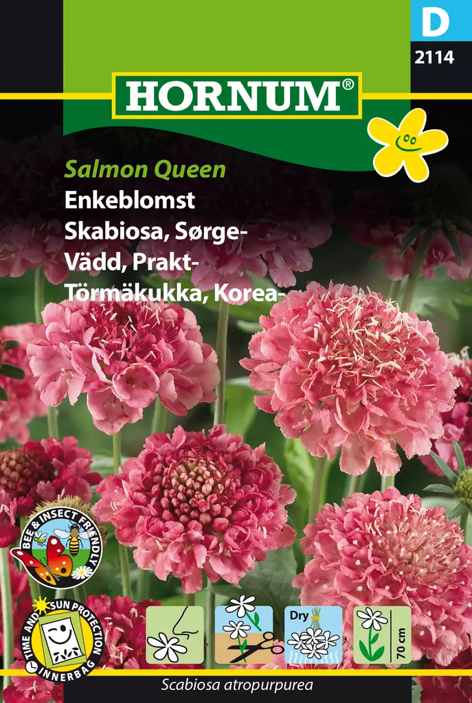 Törmäkukka, Korea- Salmon Queen - Kukkien ja koristeheinien siemenet - 5708787021144 - 0