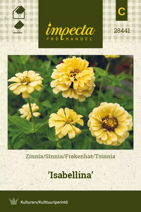 Tsinnia Isabellina - Kukkien ja koristeheinien siemenet - 7332756284414 - 0