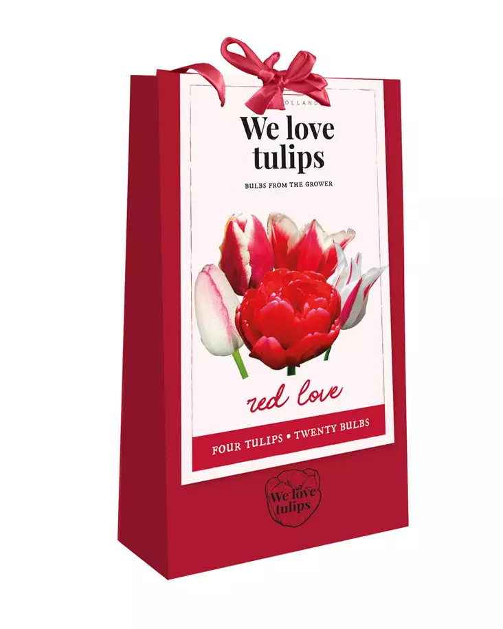 Tulppaanikassi Red Love 20kpl/pkt - Tulppaanit - 8712438754234 - 1