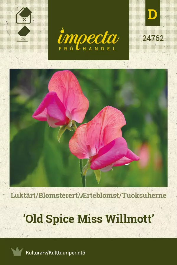 Tuoksuherne Old Spice Miss Willmott - Kukkien ja koristeheinien siemenet - 7332756247624 - 1