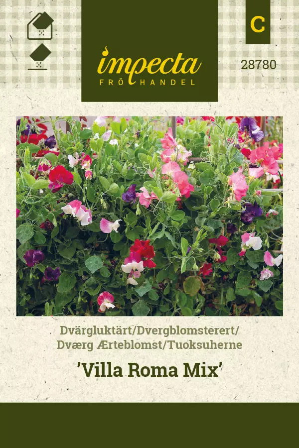 Tuoksuherne Villa Roma Mix - Kukkien ja koristeheinien siemenet - 7332756287804 - 0