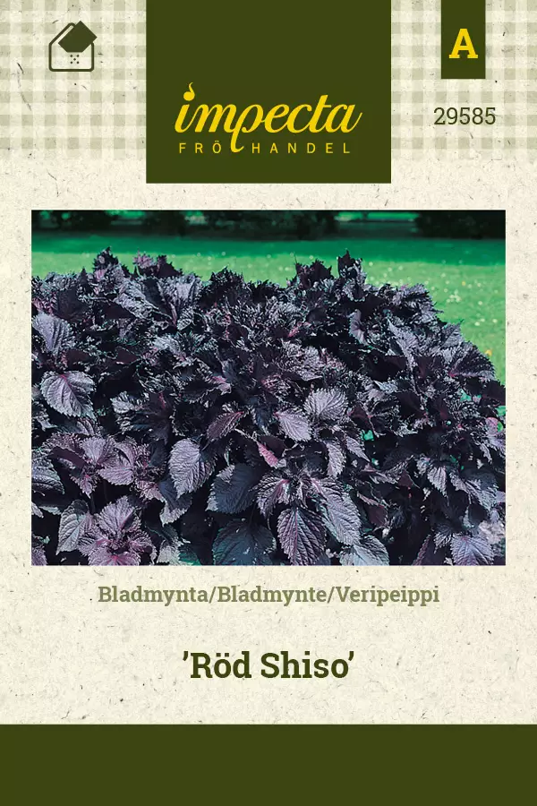 Veripeippi Röd Shiso - Vihannesten ja yrttien siemenet - 7332756295854 - 0