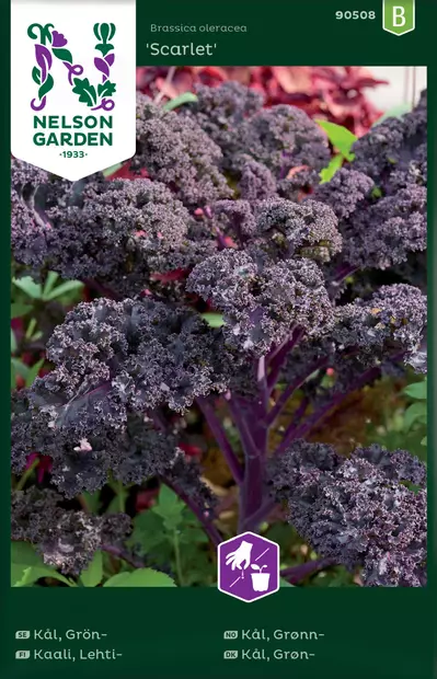 Kaali, Lehti-, Scarlet - Vihannesten ja yrttien siemenet - 7312600905085 - 0