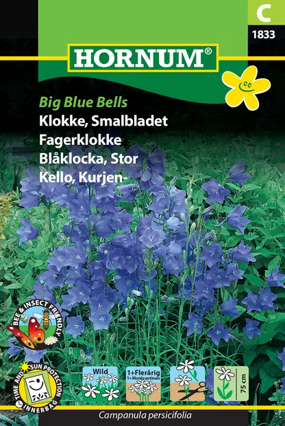 Kello, Kurjen- Big Blue Bells - Kukkien ja koristeheinien siemenet - 5708787018335 - 0