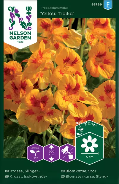 Krassi, Isoköynnös-, Yellow Troika - Kukkien ja koristeheinien siemenet - 7312600937895 - 0