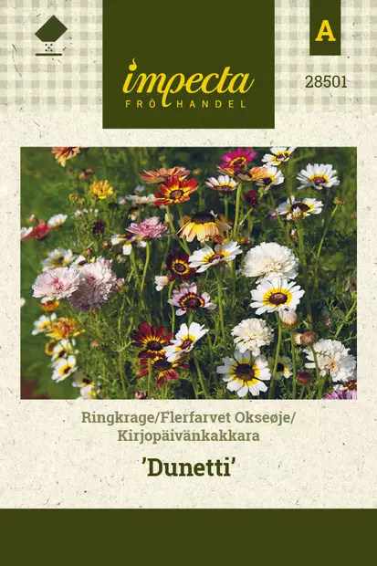 Kirjopäivänkakkara Dunetti - Kukkien ja koristeheinien siemenet - 7332756285015 - 0