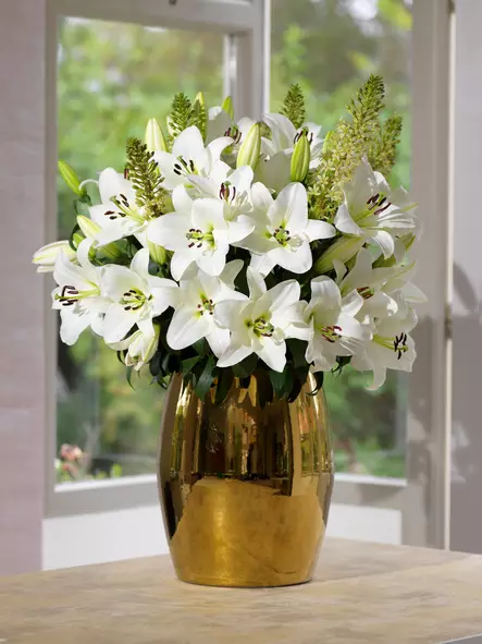 Lilja Asiaric White 2 kpl/pkt - Kukkasipulit - 8711148242185 - 1