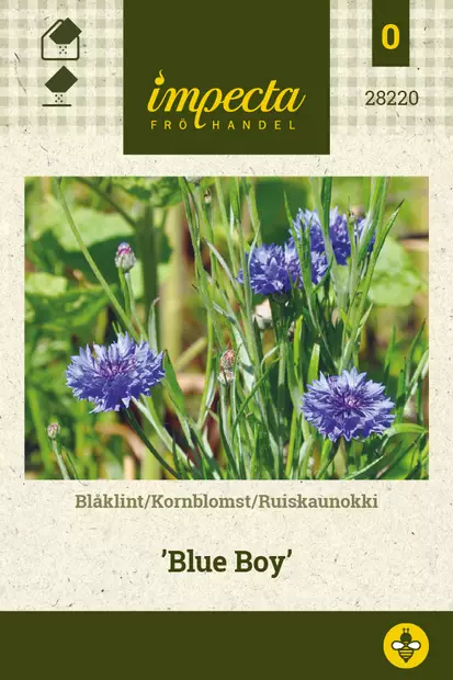 Ruiskaunokki Blue Boy - Kukkien ja koristeheinien siemenet - 7332756282205 - 1