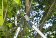 Gardena Raivaussakset EnergyCut 750 B - Puutarhatarvikkeet - 4078500043465 - 2