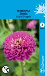 Isotsinnia Royal Purple - Kukkien ja koristeheinien siemenet - 6415152456805 - 1