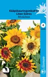 Kääpiöauringonkukka Musicbox annos - Kukkien ja koristeheinien siemenet - 6415151933505 - 1