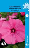 Kesämalvikki Ruby Regis - Kukkien ja koristeheinien siemenet - 6415152031705 - 1