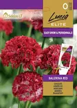 MALJALAUKKANEILIKKA ELITE BALLERINA RED - Kukkien ja koristeheinien siemenet - 4770168220805 - 0