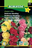 Salkoruusu, lajitelma Chater’s Mix - Kukkien ja koristeheinien siemenet - 5708787018465 - 0