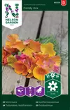 Tuliunikko, Kalifornian-, Candy mix - Kukkien ja koristeheinien siemenet - 7312600955585 - 0