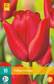 Tulppaani Escape 7 kpl/pkt -  - 8712438503115 - 1