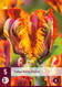 Tulppaani Rasta Parrot 5 kpl/pkt - Tulppaanit - 8712438526725 - 2