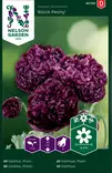 Unikko, Pioni,- Black Peony - Kukkien ja koristeheinien siemenet - 7312600957855 - 0