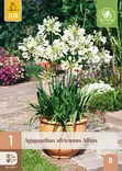 Afrikansinisarja Albus 1 kpl/pkt -  - 8712438633805 - 1