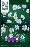 Harso, Kesä- - Kukkien ja koristeheinien siemenet - 7312600953765 - 0