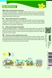 Leimu, Kesä- Sugar Stars - Kukkien ja koristeheinien siemenet - 5708787021335 - 4